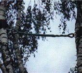 Cable Bracing
